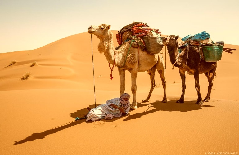 Expérience de voyage, la randonnée à dos de chameau